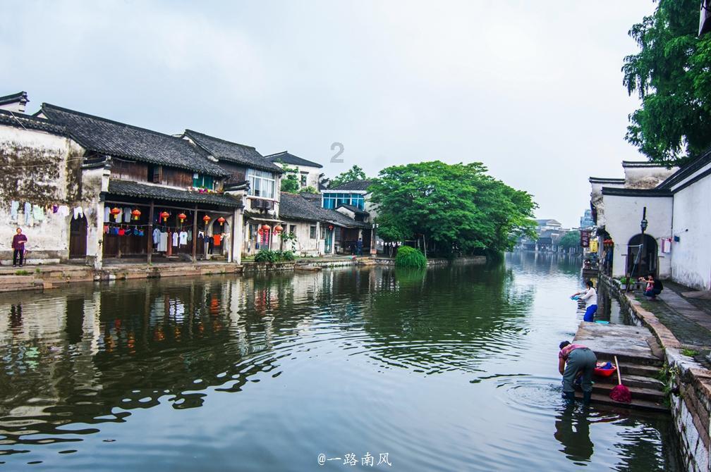 这是什么植物,一种花?知识星球-分享你的专业知识